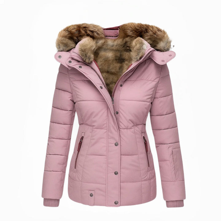https://cdn.shopify.com/s/files/1/0903/1545/6846/files/10_6778674d-4b33-4070-be78-0919f3c5fd78.jpg?v=1766247064