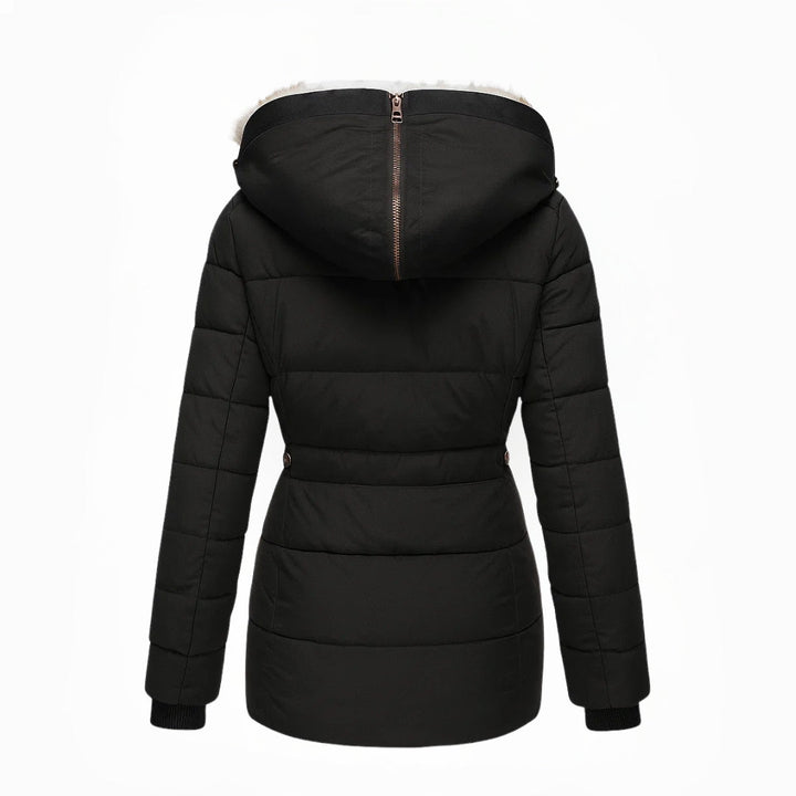 https://cdn.shopify.com/s/files/1/0903/1545/6846/files/12_10f3519c-0200-4c57-ae34-55f7853f5632.jpg?v=1766247064