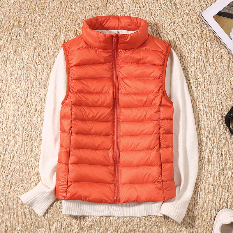 https://cdn.shopify.com/s/files/1/0903/1545/6846/files/22340289672_2082064335_1800x1800_7a0864ab-f36f-40a7-a2c5-b39e742db207.jpg?v=1743982358