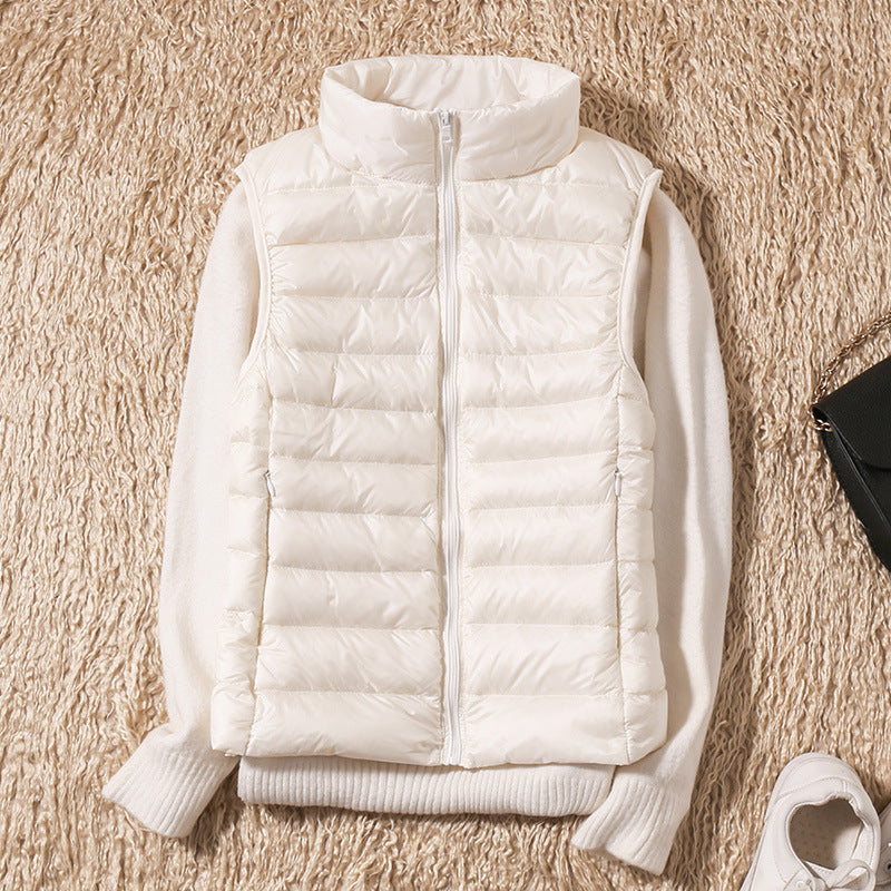 https://cdn.shopify.com/s/files/1/0903/1545/6846/files/22340355040_2082064335_1800x1800_4123b432-26bc-4c1f-a045-a15c851018e0.jpg?v=1743982358