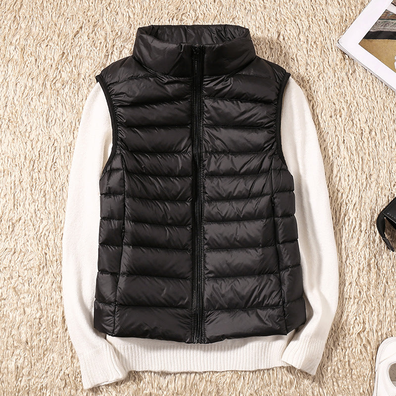 https://cdn.shopify.com/s/files/1/0903/1545/6846/files/22512632036_2082064335_1800x1800_79a6f9c1-cec1-4ed1-81b5-b1a7e1120095.jpg?v=1743982358