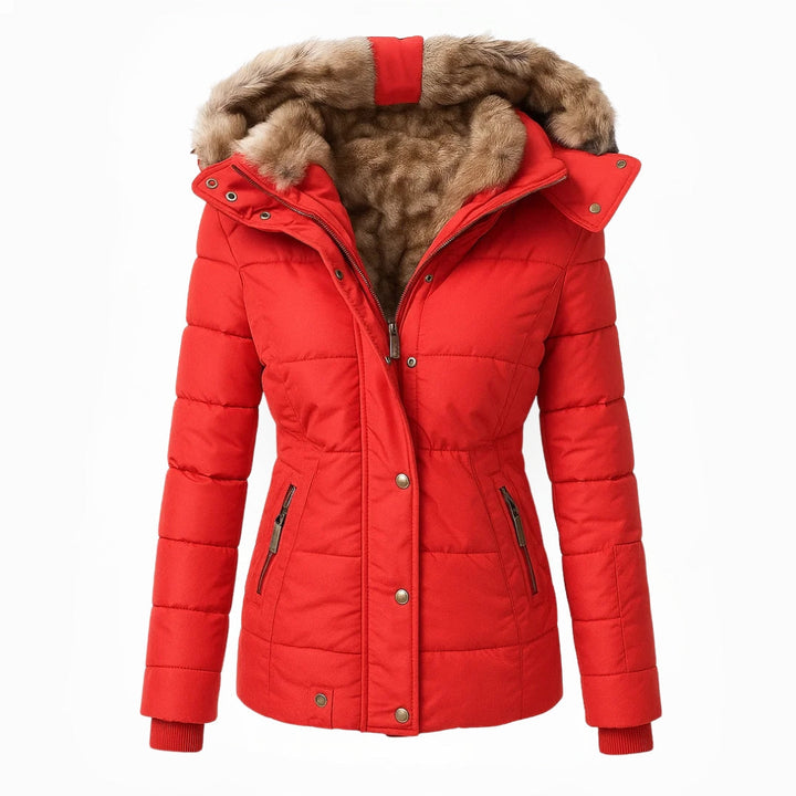 https://cdn.shopify.com/s/files/1/0903/1545/6846/files/7_5574e875-de9d-4180-965f-02b9cf65c2fd.jpg?v=1766247064
