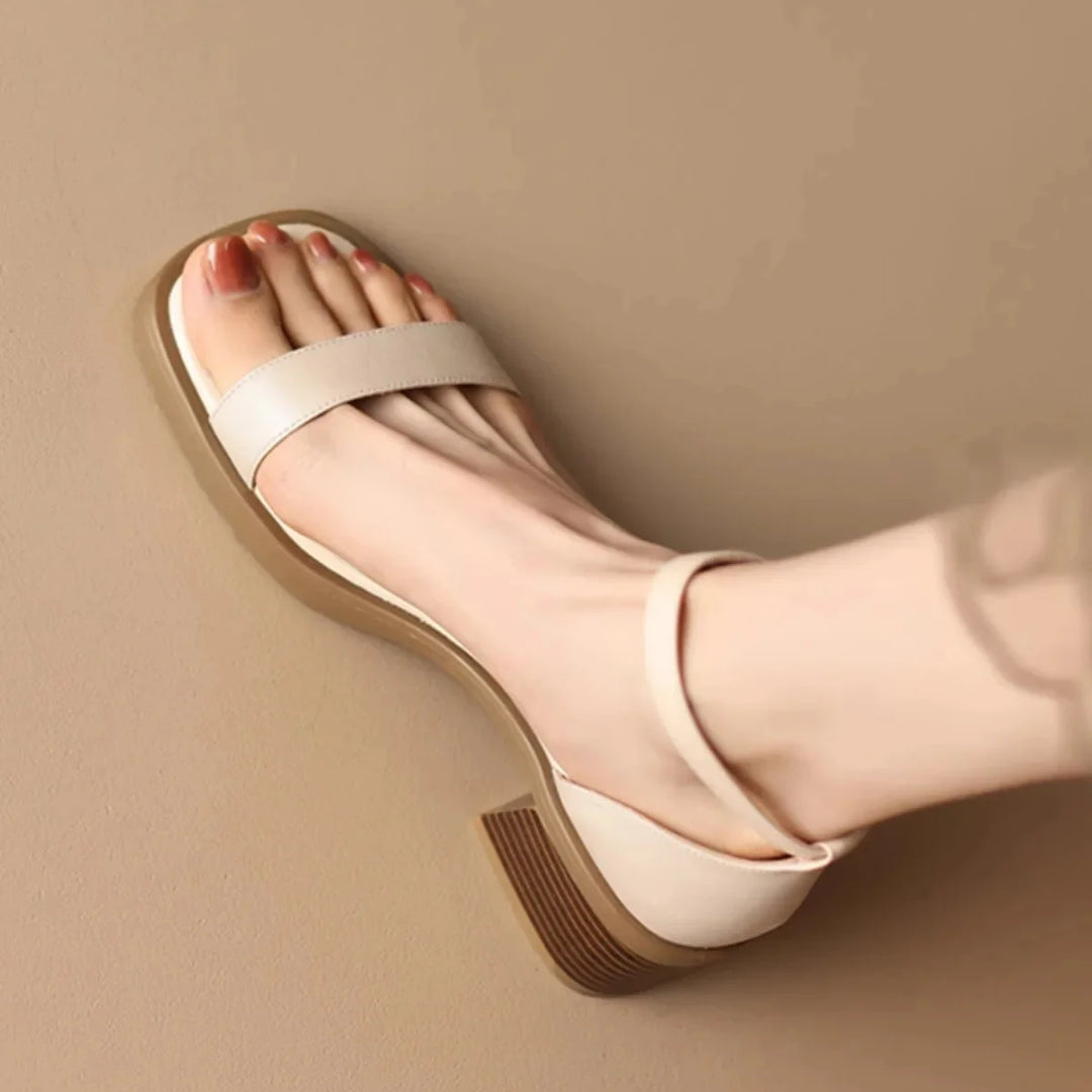 https://cdn.shopify.com/s/files/1/0903/1545/6846/files/Ontwerpzondertitel-2025-06-11T234211.165.png?v=1750147928