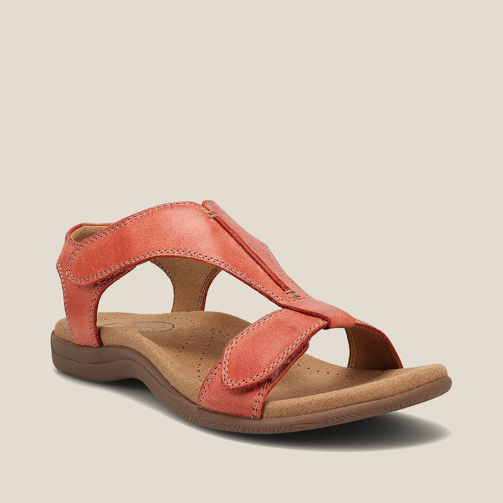 https://cdn.shopify.com/s/files/1/0903/1545/6846/files/Ontwerpzondertitel_81.png?v=1742860793