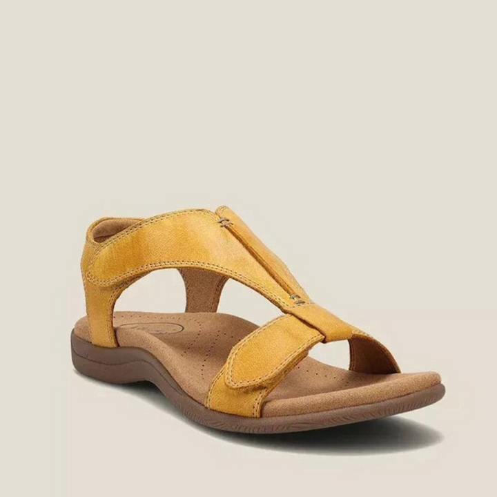 https://cdn.shopify.com/s/files/1/0903/1545/6846/files/Ontwerpzondertitel_82.png?v=1742860797