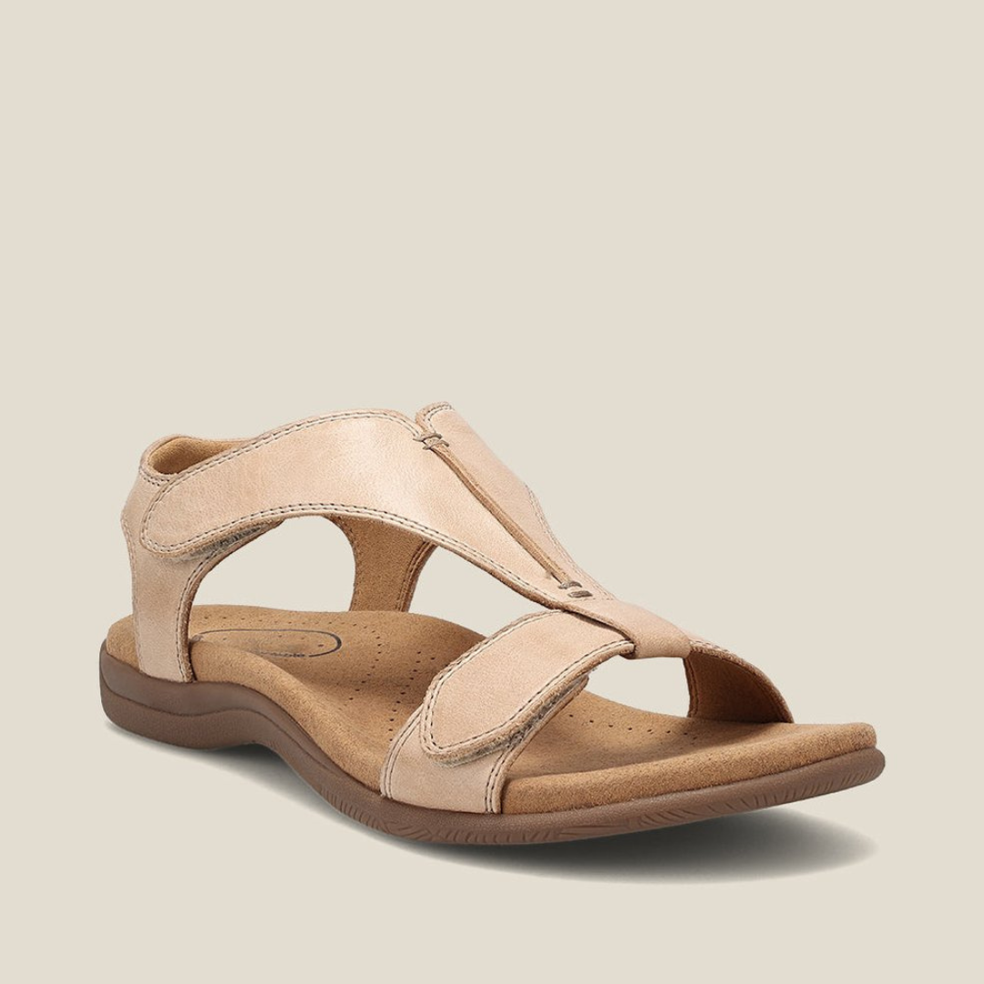 https://cdn.shopify.com/s/files/1/0903/1545/6846/files/Ontwerpzondertitel_83.png?v=1742860799