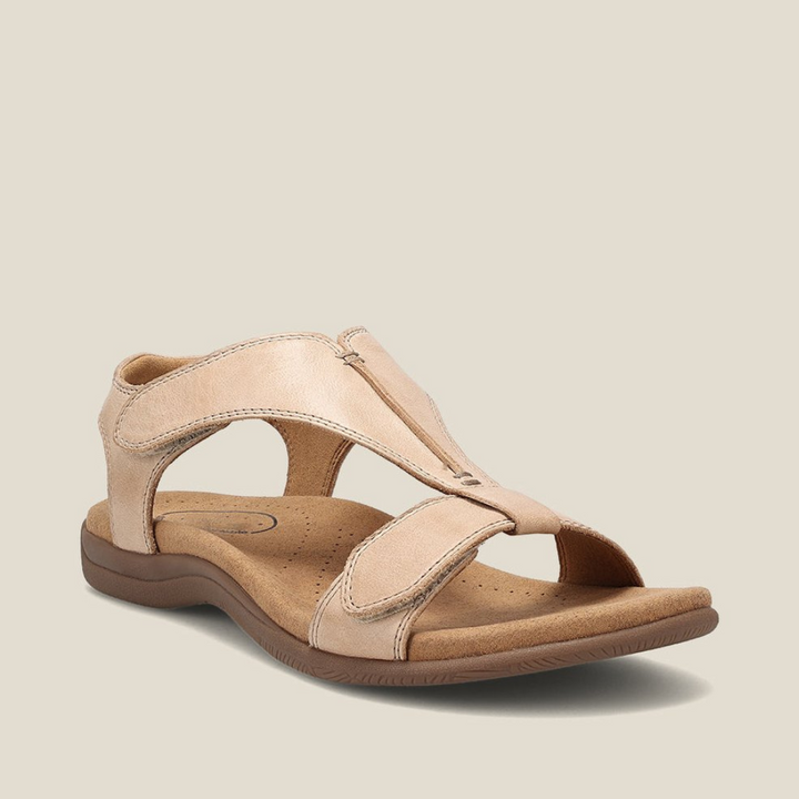 https://cdn.shopify.com/s/files/1/0903/1545/6846/files/Ontwerpzondertitel_83.png?v=1742860799