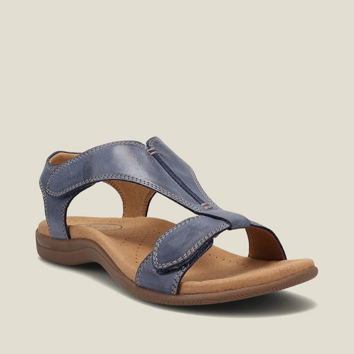 https://cdn.shopify.com/s/files/1/0903/1545/6846/files/Ontwerpzondertitel_84.png?v=1742860802