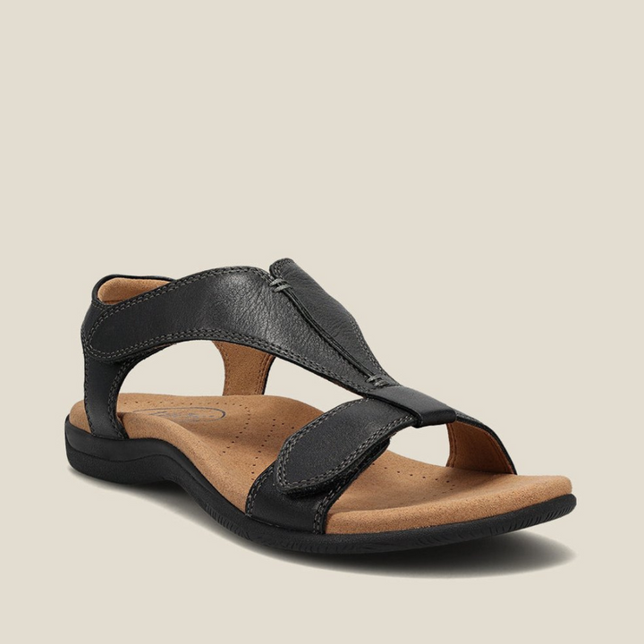 https://cdn.shopify.com/s/files/1/0903/1545/6846/files/Ontwerpzondertitel_86.png?v=1742860806