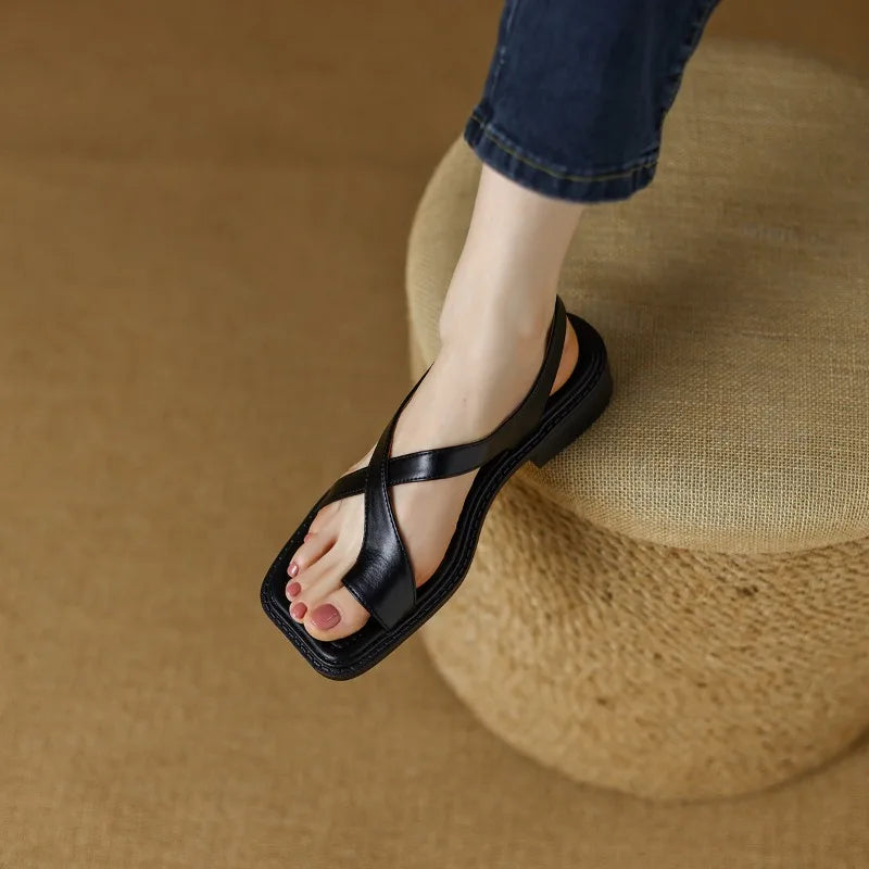 https://cdn.shopify.com/s/files/1/0903/1545/6846/files/S1187ece7cdd74c9a9a9a78a73e6186c6A.jpg?v=1749416752