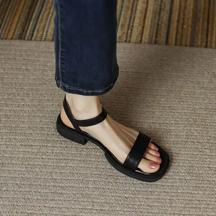 https://cdn.shopify.com/s/files/1/0903/1545/6846/files/S473f9721329c4468a7b0501ce2325282B.webp?v=1749102621
