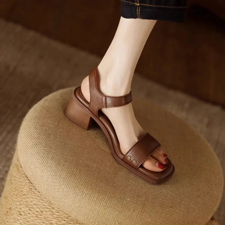 https://cdn.shopify.com/s/files/1/0903/1545/6846/files/S76e840f8b0d446ee9131e148563d871eJ.webp?v=1750147926