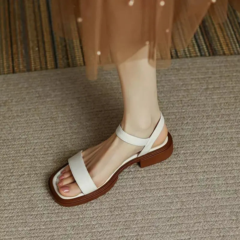 https://cdn.shopify.com/s/files/1/0903/1545/6846/files/S863ceb627d7d43dd9134a166f61cda3ce.webp?v=1749102621