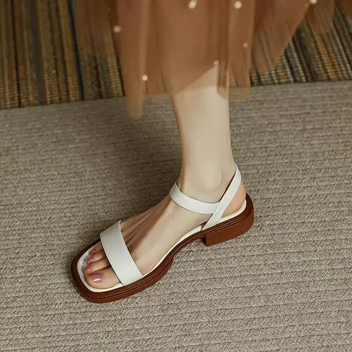 https://cdn.shopify.com/s/files/1/0903/1545/6846/files/S863ceb627d7d43dd9134a166f61cda3ce.webp?v=1749102621